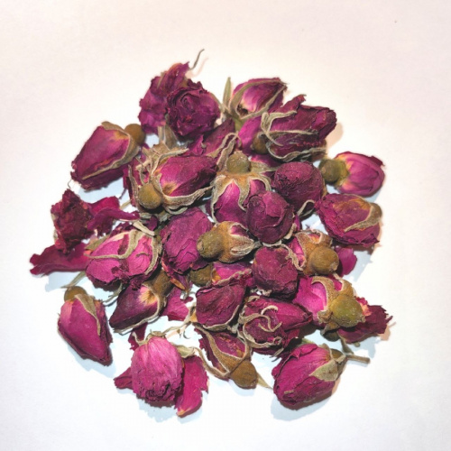 ITB-008